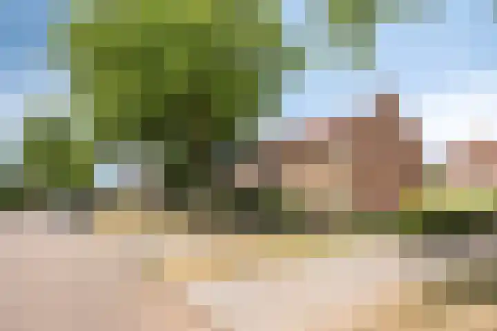Sint Barbaraweg 72 Budel-Dorplein thumbnail 29
