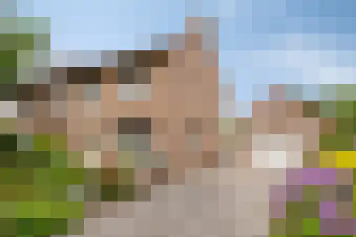 Sint Barbaraweg 72 Budel-Dorplein thumbnail 35