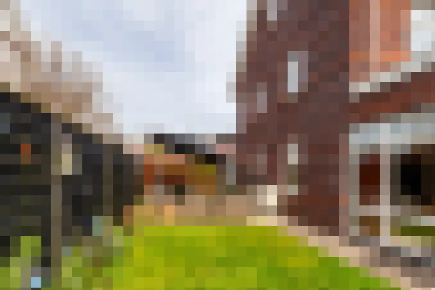 Sint Bartholomeusstraat 18 Poeldijk thumbnail 35