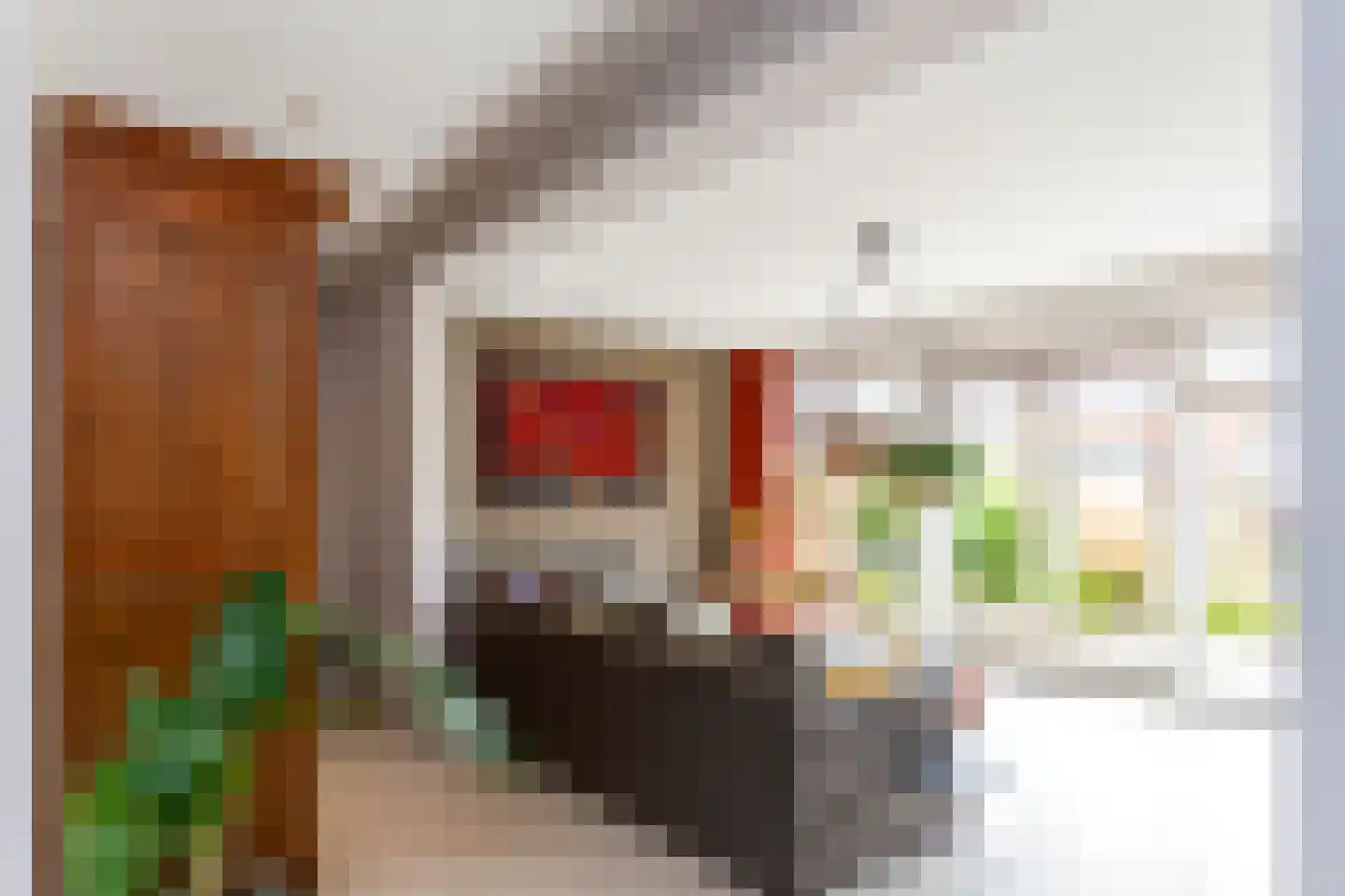 Sint Bartholomeusstraat 18 Poeldijk thumbnail 6