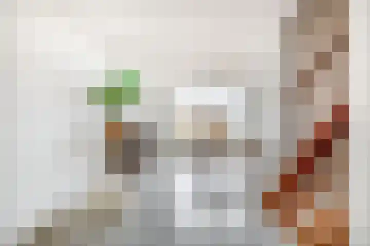 Sint Bavodijk 12 Nieuwvliet thumbnail 10