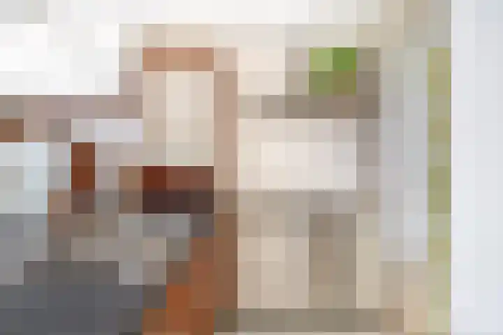 Sint Bavodijk 12 Nieuwvliet thumbnail 18