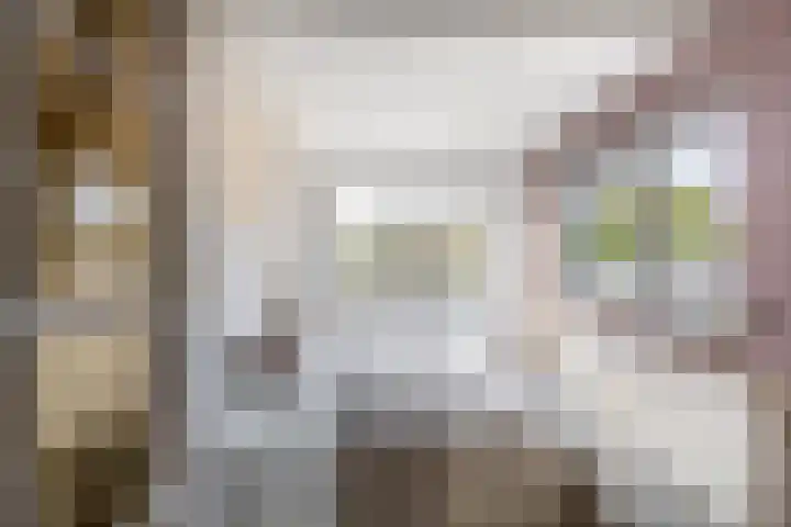 Sint Bavodijk 12 Nieuwvliet thumbnail 32