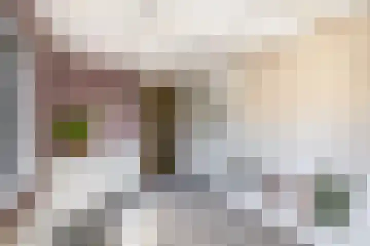 Sint Bavodijk 12 Nieuwvliet thumbnail 33