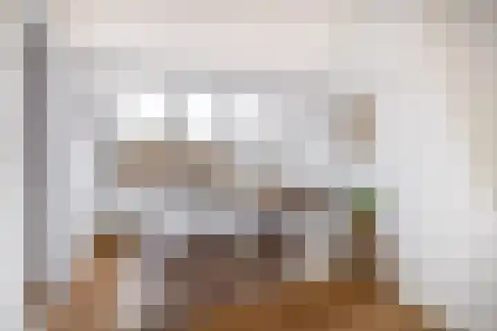 Sint Bavodijk 12 Nieuwvliet thumbnail 36