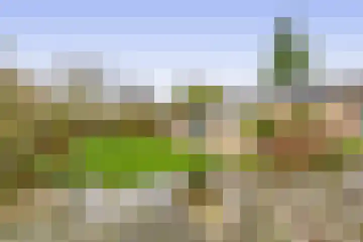 Sint Bavodijk 12 Nieuwvliet thumbnail 41