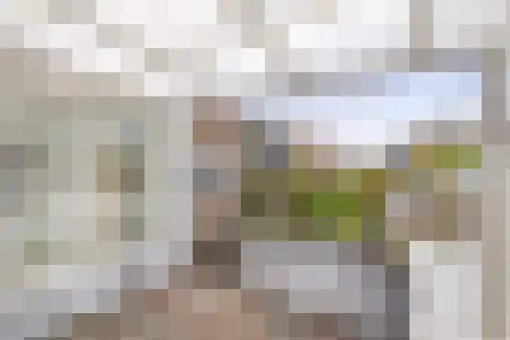 Sint Bavodijk 12 Nieuwvliet thumbnail 44