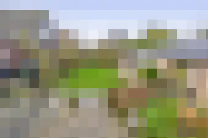 Sint Bavodijk 12 Nieuwvliet thumbnail 47