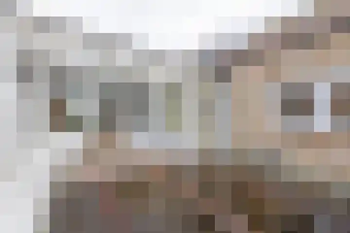 Sint Bavodijk 12 Nieuwvliet thumbnail 48