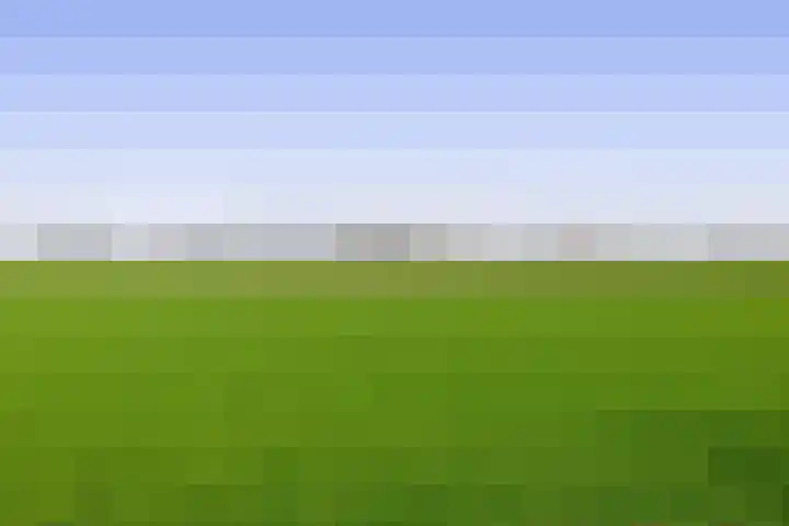 Sint Bavodijk 12 Nieuwvliet thumbnail 51
