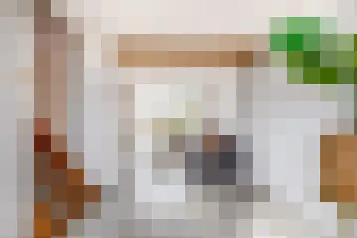 Sint Bavodijk 12 Nieuwvliet thumbnail 8