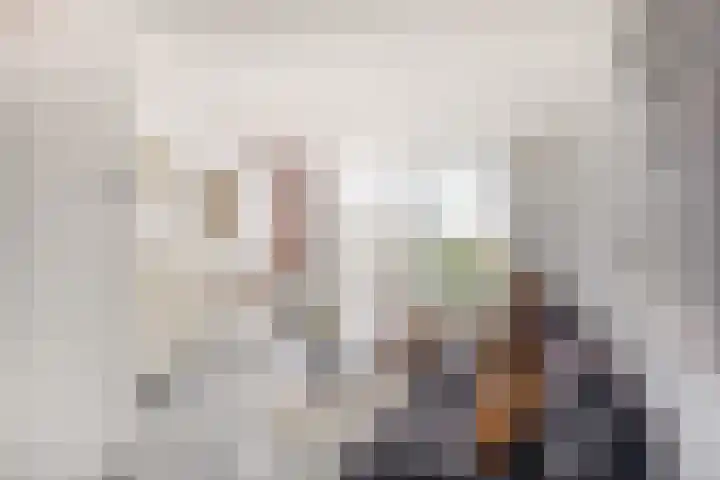 Sint Bavodijk 12 Nieuwvliet thumbnail 9