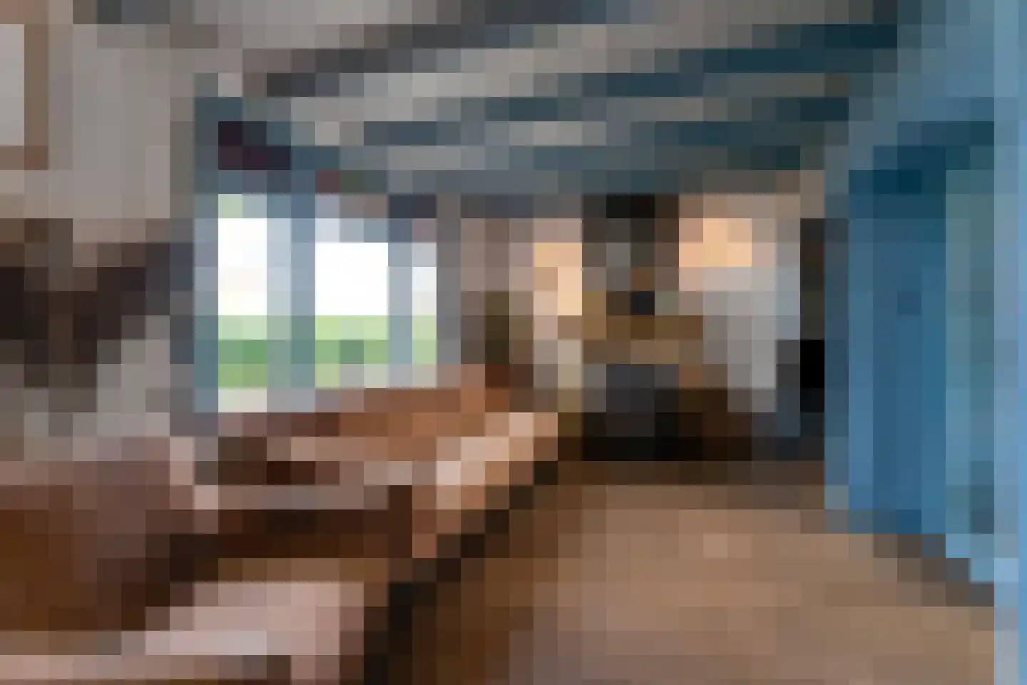 Sint Bavodijk 16 Nieuwvliet thumbnail 7
