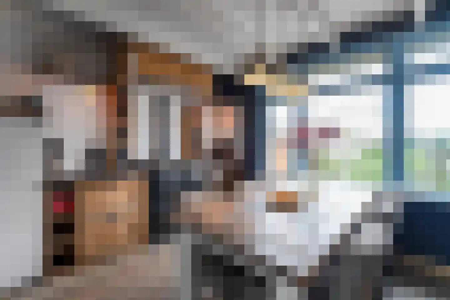 Sint Bavodijk 16 Nieuwvliet thumbnail 9