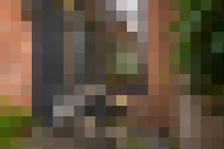 Sint Bavodijk 34 Nieuwvliet thumbnail 37