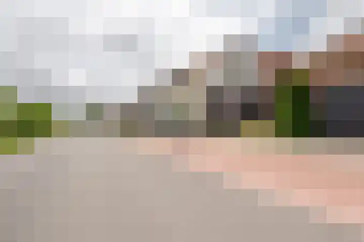 Sint Bavodijk 34 Nieuwvliet thumbnail 67
