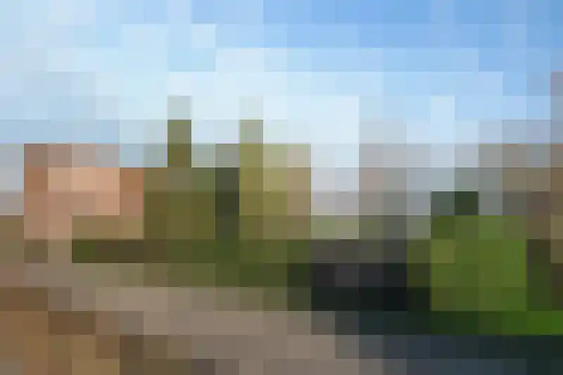 Sint Bavodijk 39 Nieuwvliet thumbnail 38