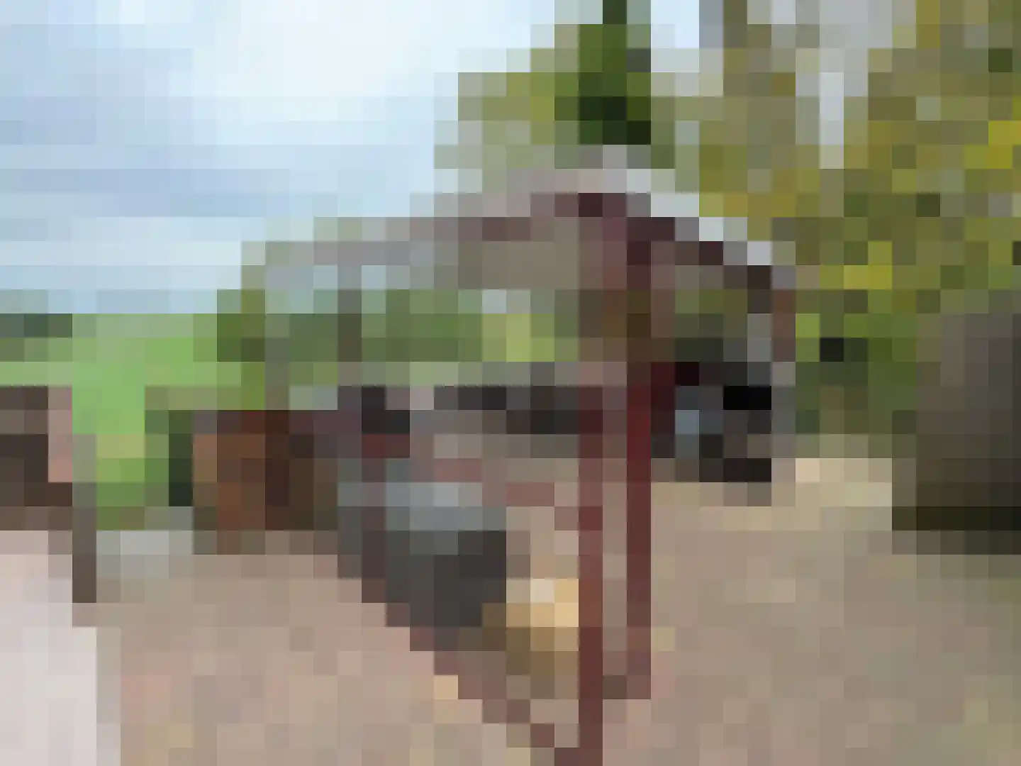 Sint Bavodijk 39 Nieuwvliet thumbnail 5