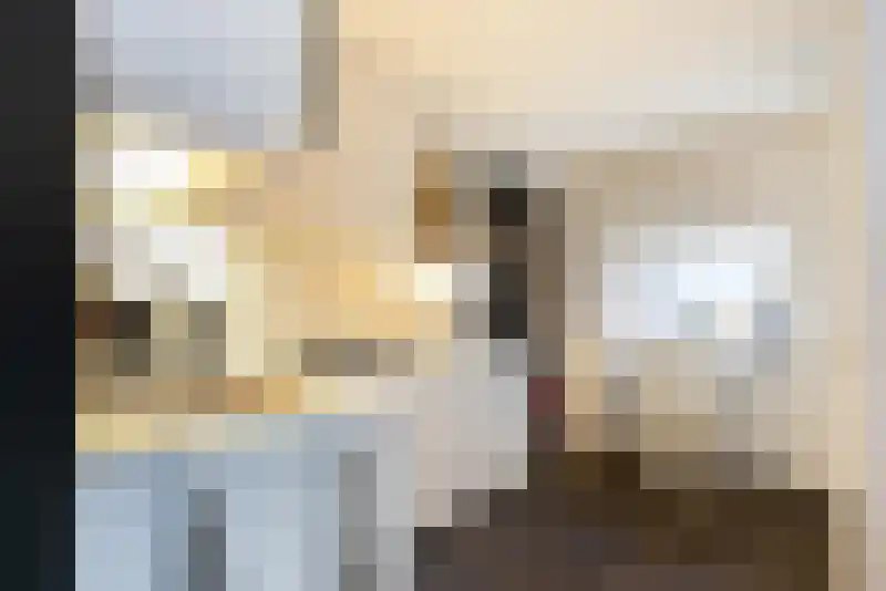 Sint Bavodijk 39 Nieuwvliet thumbnail 8