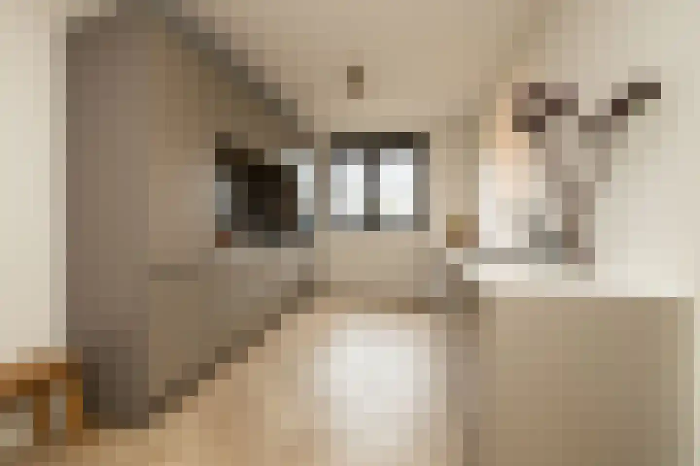 Sint Bavolaan 112 Noordwijkerhout thumbnail 11