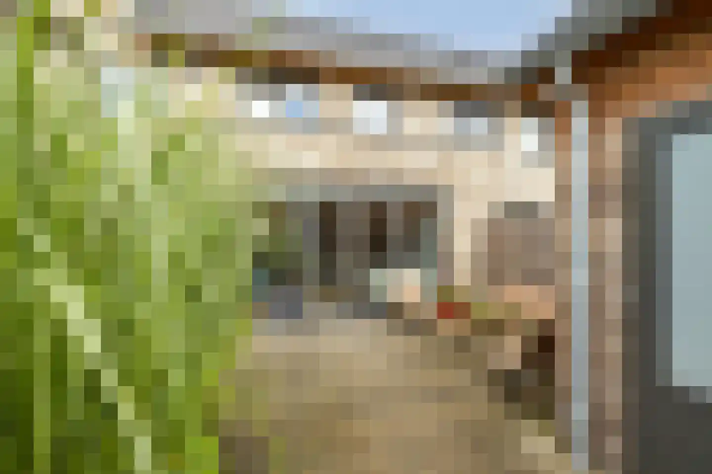 Sint Bavolaan 112 Noordwijkerhout thumbnail 16