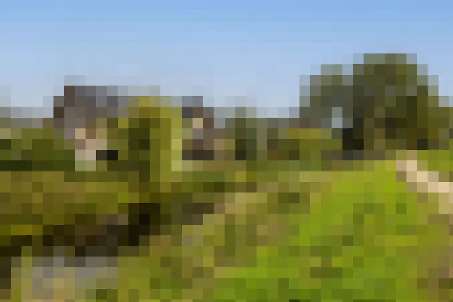 Sint Bavolaan 112 Noordwijkerhout thumbnail 37