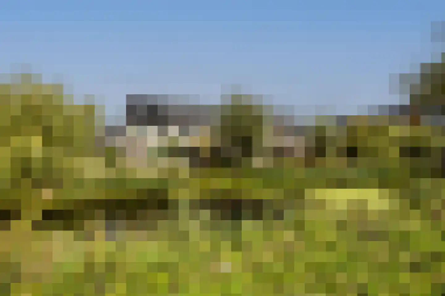 Sint Bavolaan 112 Noordwijkerhout thumbnail 38