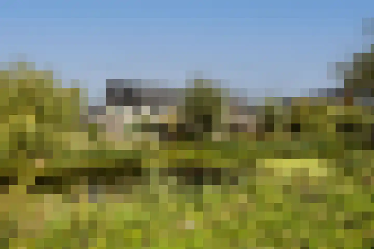 Sint Bavolaan 112 Noordwijkerhout thumbnail 4