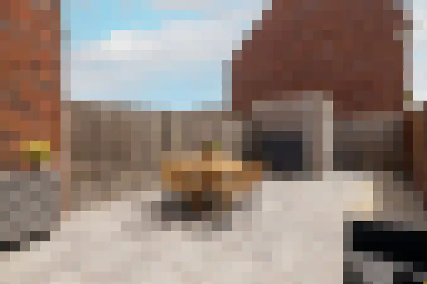 Sint Bavolaan 2 Noordwijkerhout thumbnail 10