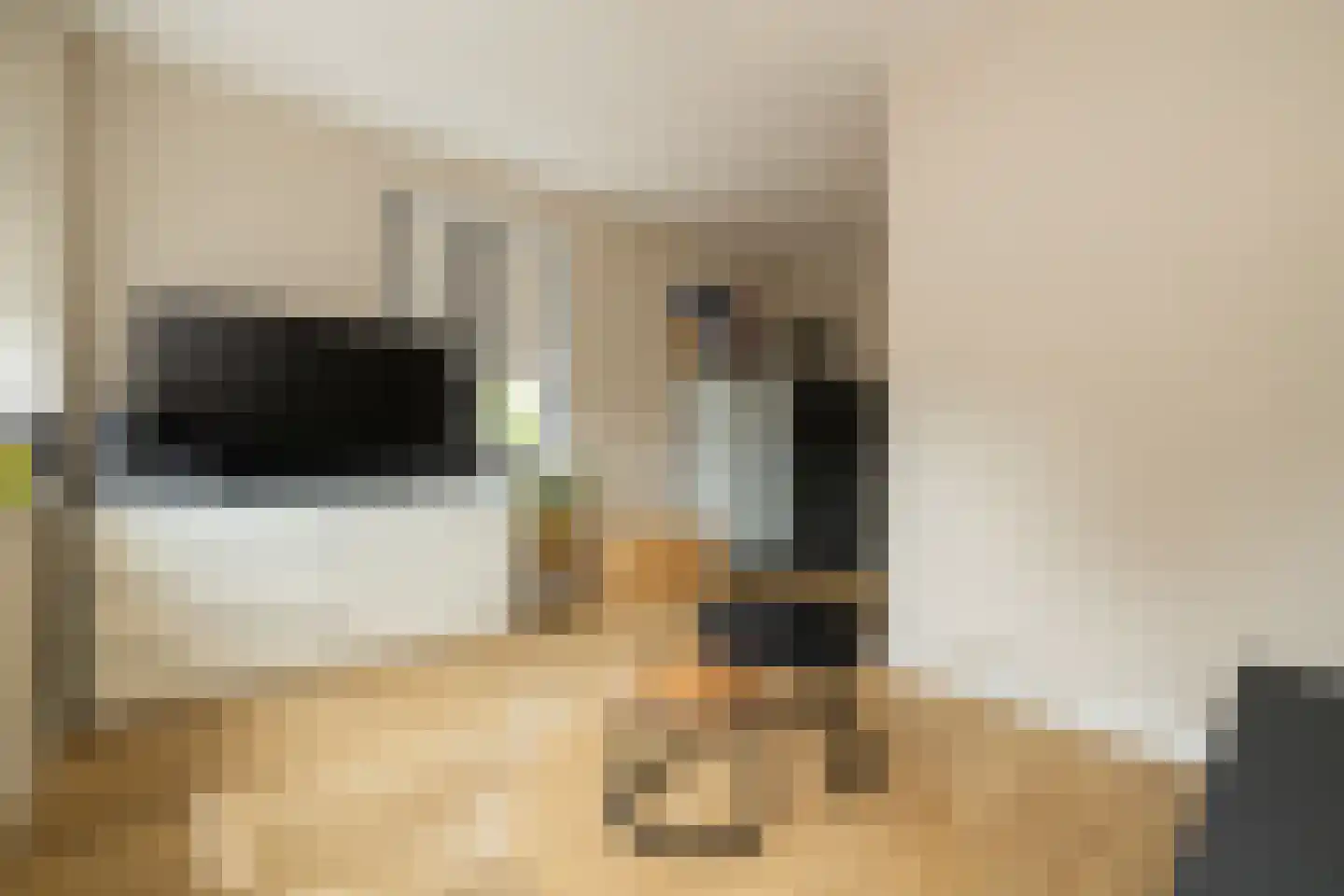 Sint Bavolaan 2 Noordwijkerhout thumbnail 20