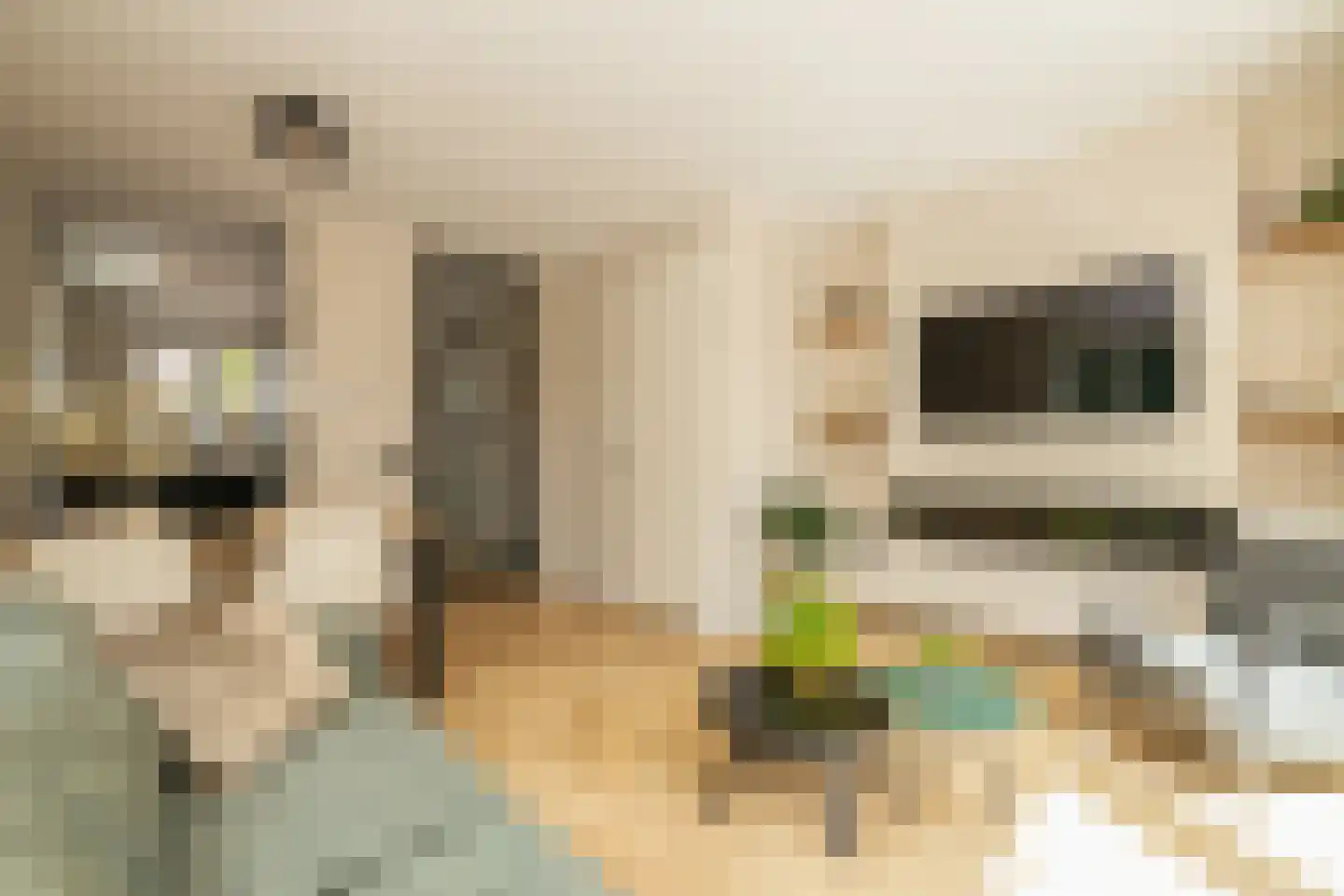 Sint Bavolaan 2 Noordwijkerhout thumbnail 5