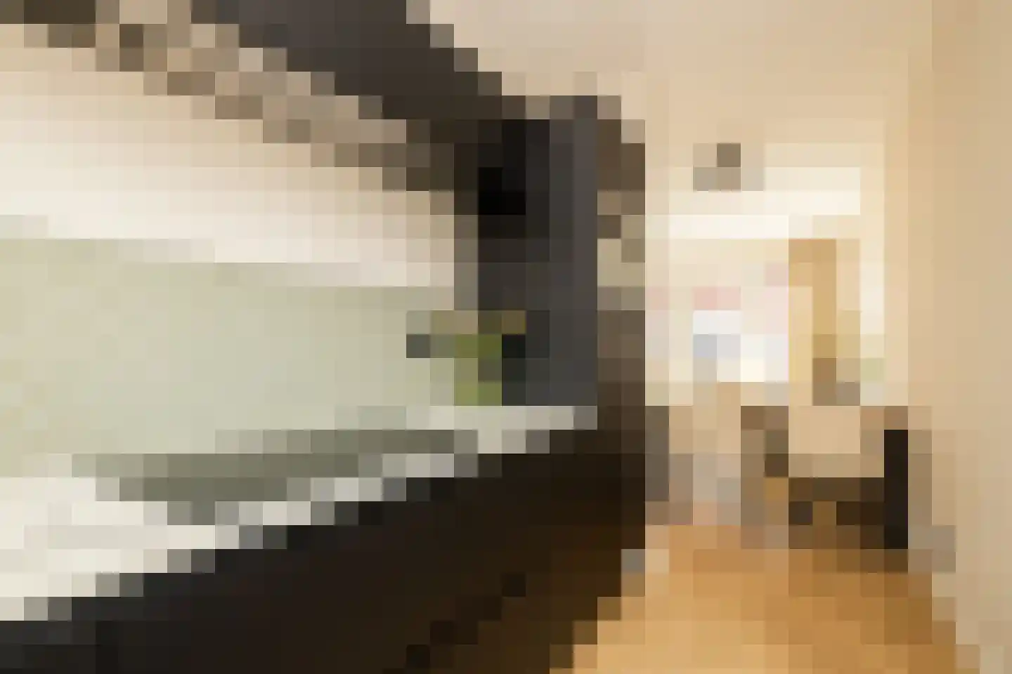 Sint Bavolaan 2 Noordwijkerhout thumbnail 8