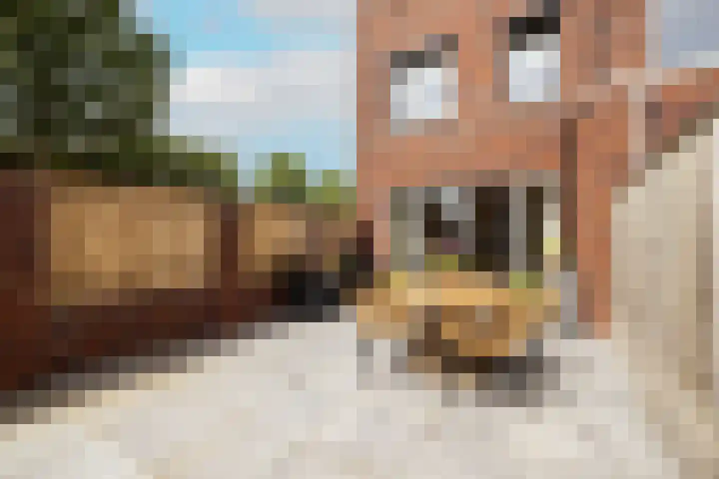 Sint Bavolaan 2 Noordwijkerhout thumbnail 9