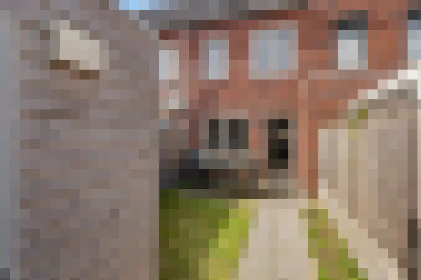 Sint Bavolaan 22 Noordwijkerhout thumbnail 9