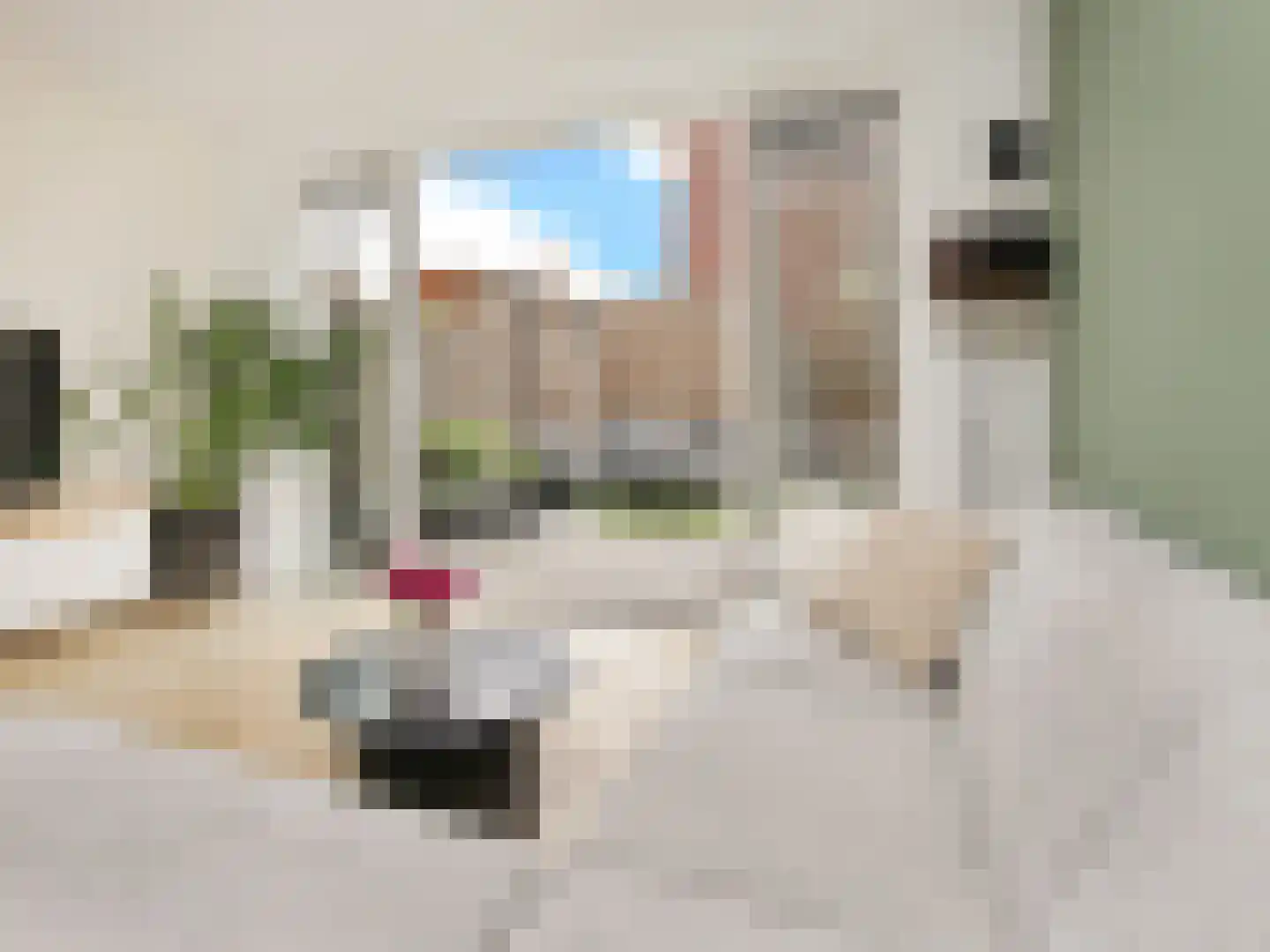 Sint Bavolaan 4 Noordwijkerhout thumbnail 14