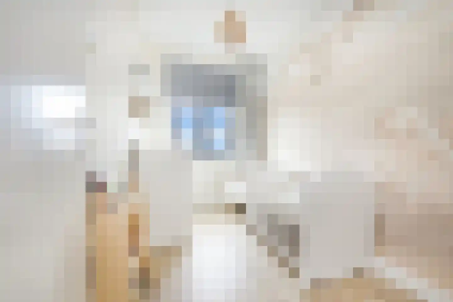 Sint Bavolaan 4 Noordwijkerhout thumbnail 26