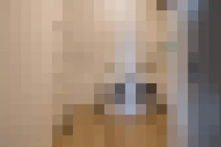 Sint Bavopark 11 Noordwijkerhout thumbnail 33