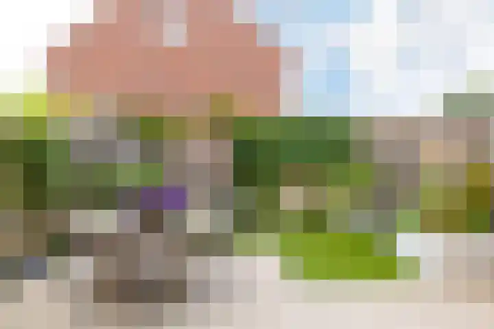 Sint Bavopark 11 Noordwijkerhout thumbnail 4