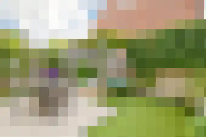 Sint Bavopark 11 Noordwijkerhout thumbnail 45