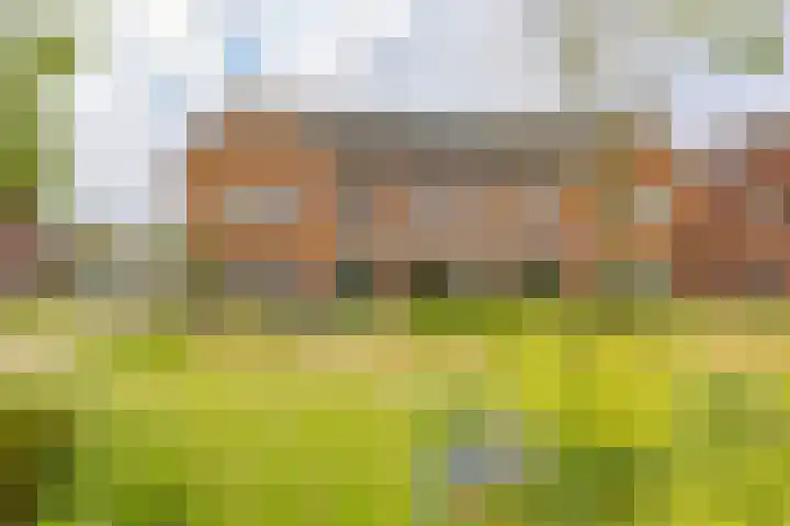 Sint Bavopark 11 Noordwijkerhout thumbnail 47