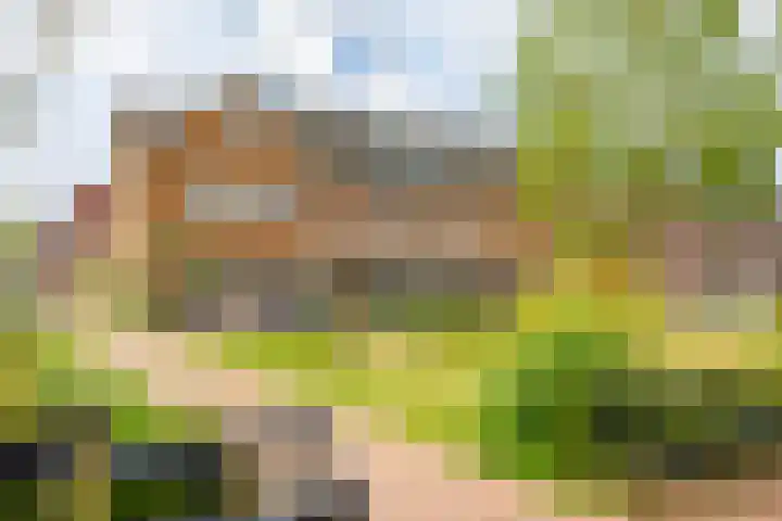 Sint Bavopark 11 Noordwijkerhout thumbnail 48