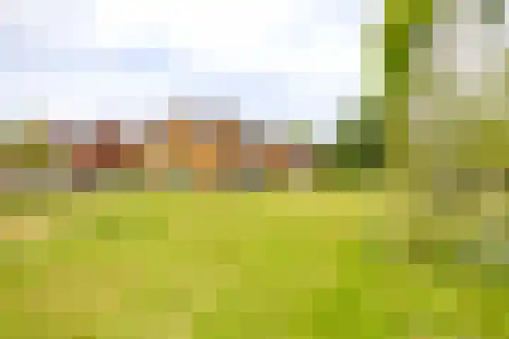 Sint Bavopark 11 Noordwijkerhout thumbnail 49
