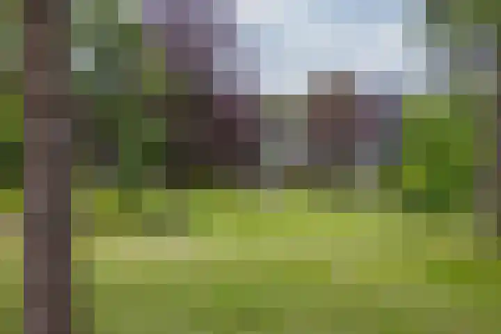 Sint Bavopark 11 Noordwijkerhout thumbnail 51