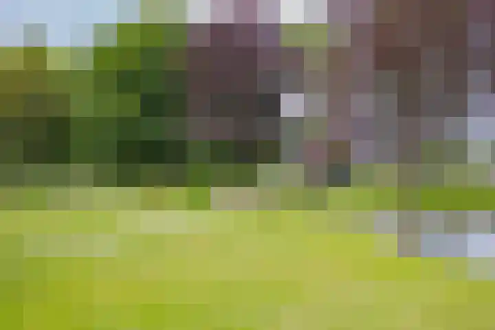 Sint Bavopark 11 Noordwijkerhout thumbnail 52