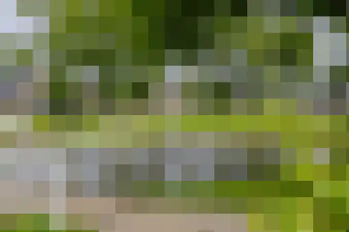 Sint Bavopark 11 Noordwijkerhout thumbnail 53