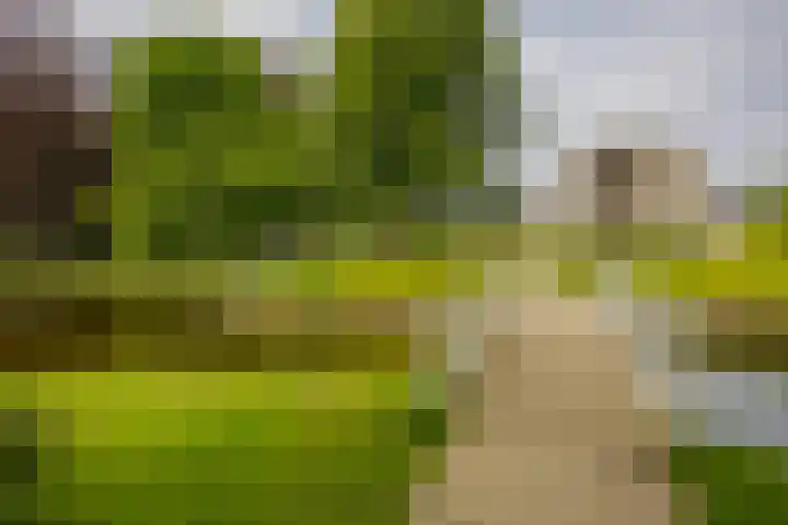 Sint Bavopark 11 Noordwijkerhout thumbnail 54