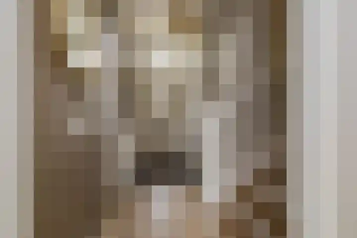 Sint Bavopark 11 Noordwijkerhout thumbnail 6