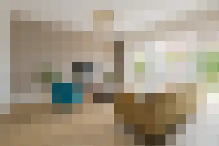 Sint Bavopark 11 Noordwijkerhout thumbnail 9