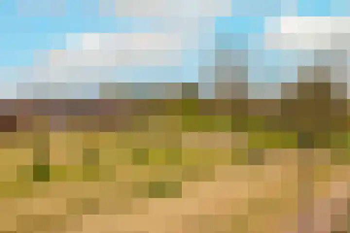 Sint Bavopark 20 Noordwijkerhout thumbnail 38