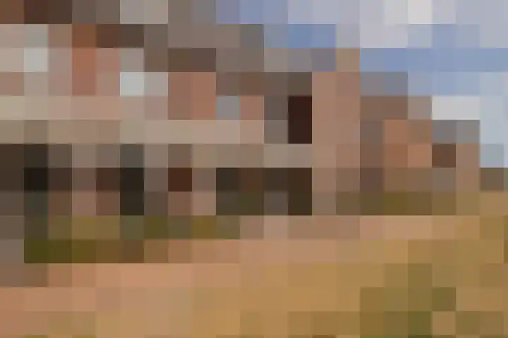 Sint Bavopark 20 Noordwijkerhout thumbnail 40
